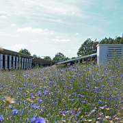 Photovoltaikanlage, Umwelt, Natur, SÜDWERK